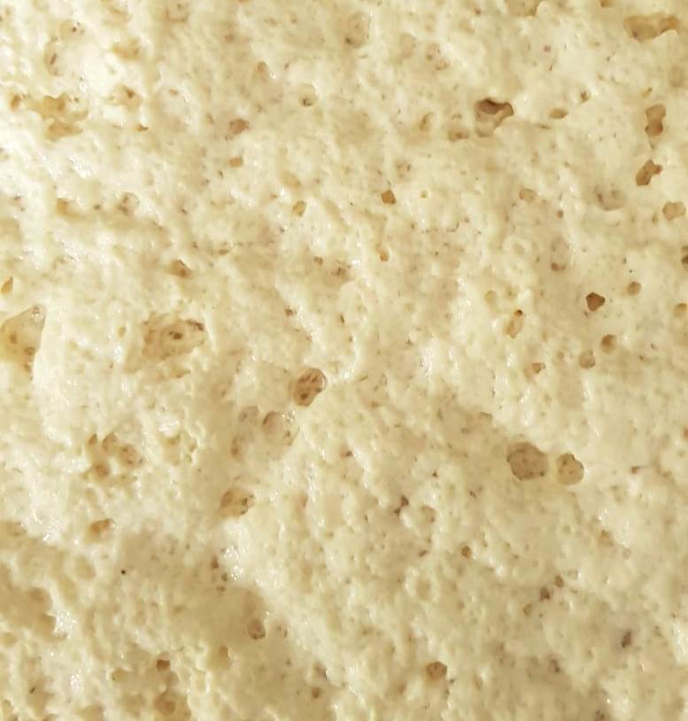 Vegan fermented cream cheese - Food Fermentation Tips