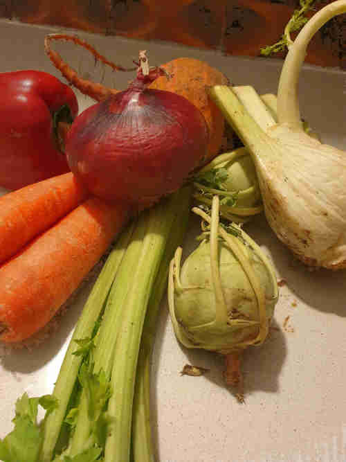 Fresh Organic vegetables