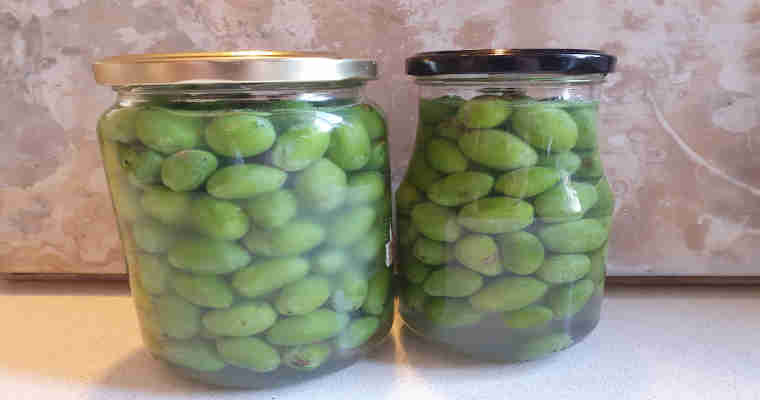 Fermented Olives